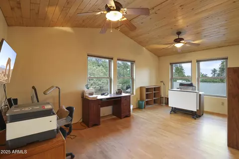 Other - 131 W Hunt Ranch Rd, Pine, AZ 85544 photo 7 of 27