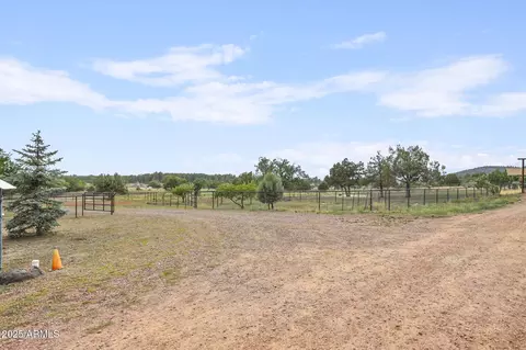 Exterior - 131 W Hunt Ranch Rd, Pine, AZ 85544 photo 9 of 12