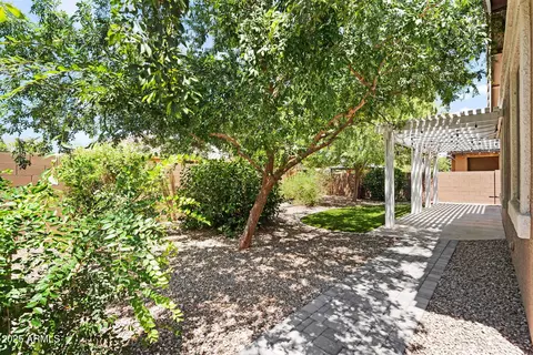 Exterior - 874 E Doral Ct, Gilbert, AZ 85297 photo 6 of 8