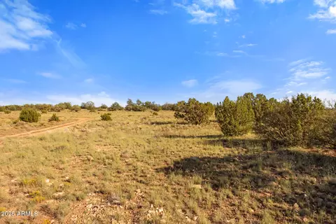 1770 Silver Bear Ln #12, Williams, AZ 86046
