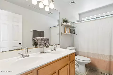 Bath - 10412 E Dolphin Ave, Mesa, AZ 85208 photo 1 of 6