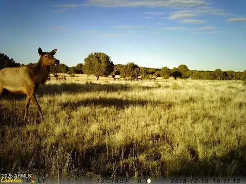Other - 369 E B E Antler Trl, Williams, AZ 86046 photo 8 of 11