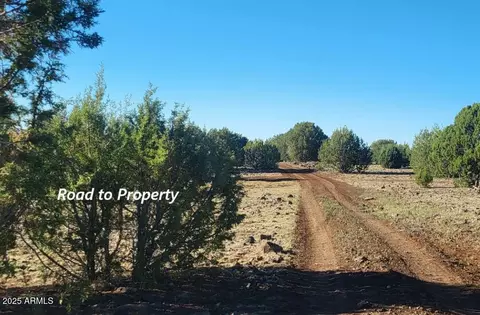 Other - 369 E B E Antler Trl, Williams, AZ 86046 photo 5 of 11