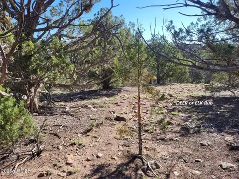 Other - 167 N Cattle Dr, Williams, AZ 86046 photo 6 of 20