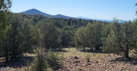 Other - 167 N Cattle Dr, Williams, AZ 86046 photo 13 of 20