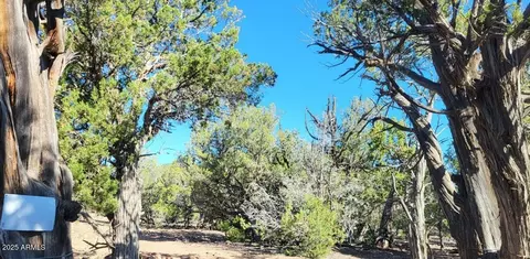 Other - 167 N Cattle Dr, Williams, AZ 86046 photo 3 of 20