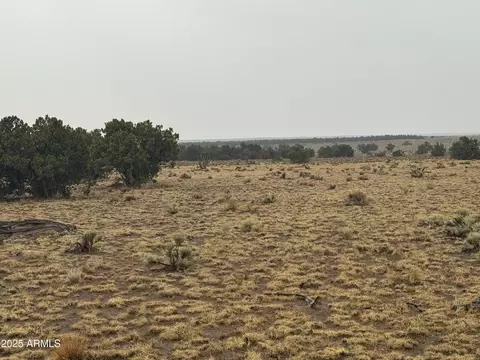 lot365 Arizona Park Ests UNIT III, Saint Johns, AZ 85936