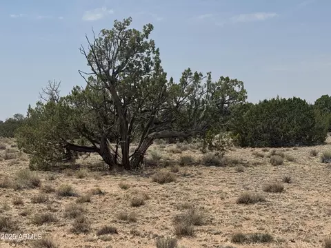 N7200 Parcel # 205-32-004a -- #004A, Saint Johns, AZ 85936