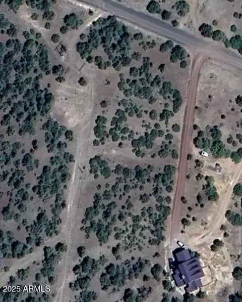 - W Snowline Drive #-, Eagar, AZ 85925 photo 6