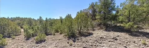 - W Snowline Drive #-, Eagar, AZ 85925 photo 4