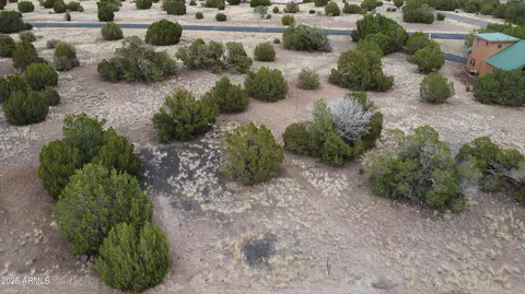 1927 Creekside Cir #92, Show Low, AZ 85901