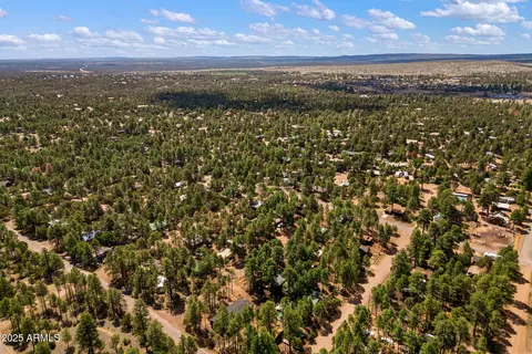 2887 Tracy Rd, Overgaard, AZ 85933 photo 31