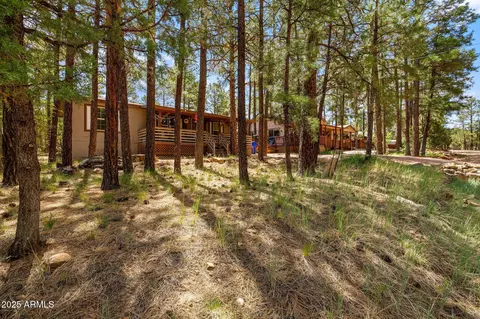 2887 Tracy Rd, Overgaard, AZ 85933 photo 3
