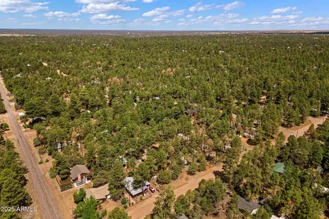 2887 Tracy Rd, Overgaard, AZ 85933 photo 30