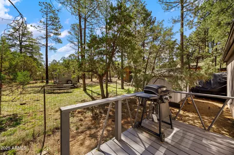 2887 Tracy Rd, Overgaard, AZ 85933 photo 24