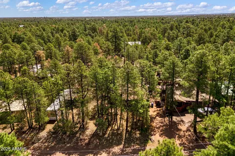 2887 Tracy Rd, Overgaard, AZ 85933 photo 28