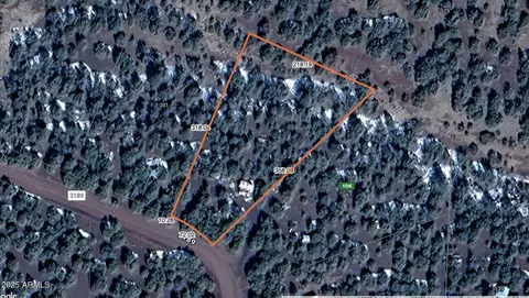 59 Acr 3189 -- #200, Vernon, AZ 85940