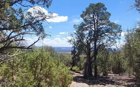 7130 E Forest Service 268 B Rd E #895, Williams, AZ 86046