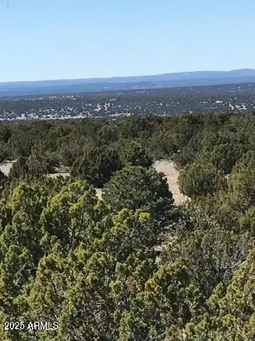 lot20 Idlewild Rnch #20, Concho, AZ 85924