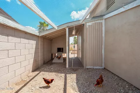 Exterior - 3543 E Gelding Dr, Phoenix, AZ 85032 photo 16 of 17