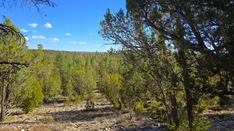 2947 E Lookout Ln #339, Overgaard, AZ 85933