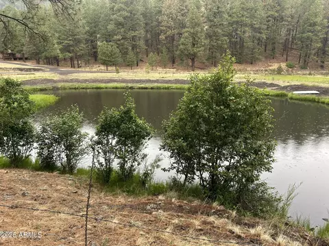 3 County Road N1029 --, Greer, AZ 85927