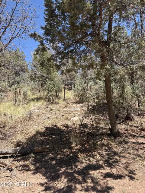 0 N Randall Dr #11, Pine, AZ 85544 photo 5