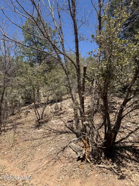 0 N Randall Dr #11, Pine, AZ 85544 photo 4