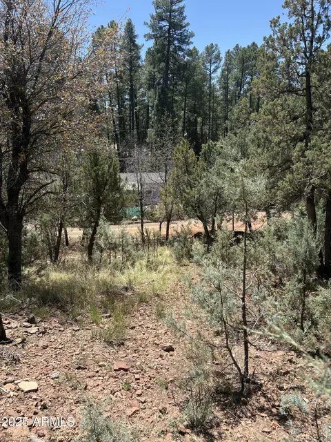 0 N Randall Dr #11, Pine, AZ 85544