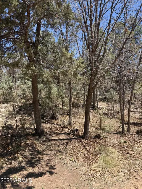 0 N Randall Dr #11, Pine, AZ 85544 photo 3
