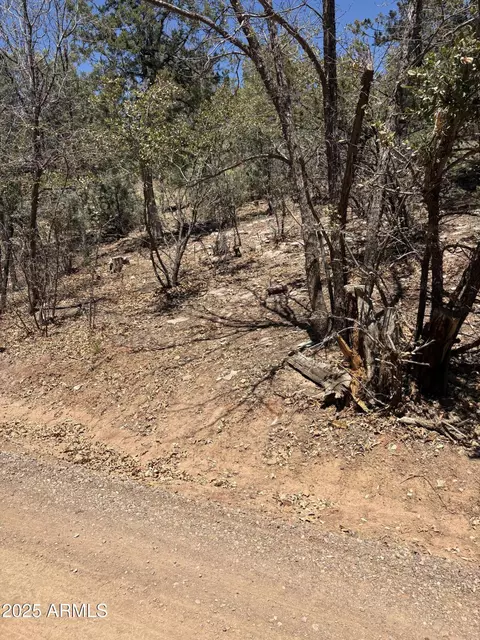 0 N Randall Dr #11, Pine, AZ 85544 photo 2