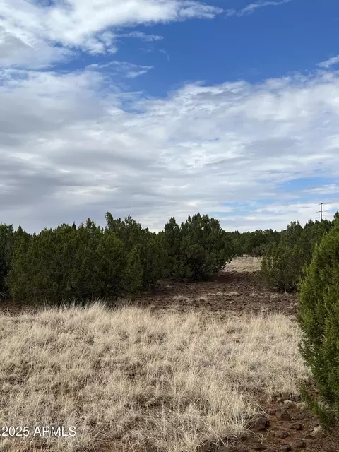 8766 Clark Rd #-, Show Low, AZ 85901