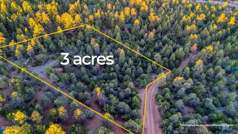 2333 Elk Ridge Ln #004H, Overgaard, AZ 85933