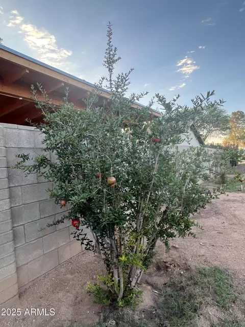 Exterior - 921 E 20th St, Douglas, AZ 85607 photo 16 of 16