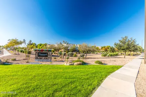 View/Area - 3104 E Packard Dr, Gilbert, AZ 85298 photo 3 of 17