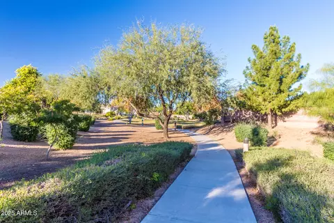 View/Area - 3104 E Packard Dr, Gilbert, AZ 85298 photo 13 of 17