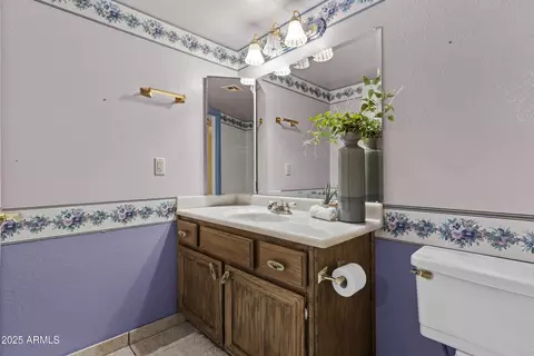 Bath - 1230 E Rowlands Ln, Phoenix, AZ 85022 photo 3 of 4