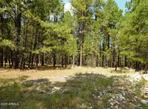 5131 Forest Service Road 137a Rd #PRCL40375003B A & B, Happy Jack, AZ 86024