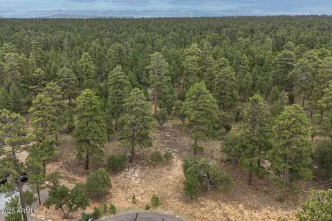 2961 Eagle Ridge Cir #118, Happy Jack, AZ 86024