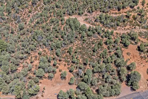 Tract D W Ruin Hill Loop #165, Pine, AZ 85544 photo 14
