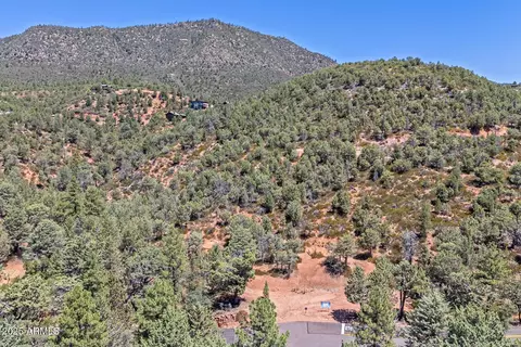 Tract D W Ruin Hill Loop #165, Pine, AZ 85544 photo 15