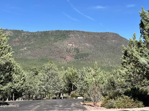 Tract D W Ruin Hill Loop #165, Pine, AZ 85544 photo 9