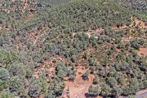Tract D W Ruin Hill Loop #165, Pine, AZ 85544 photo 16