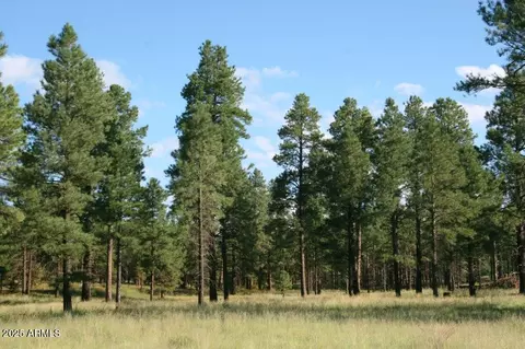 7337 Forest Service Rd 122 -- #TRACT 1-B, Happy Jack, AZ 86024