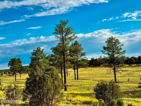 tbd Flake Rd Lots L P 254 Acres -- #-, Aripine, AZ 85933