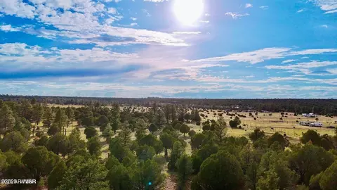 tbd Flake Rd Lots N K 254 Acres -- #-, Aripine, AZ 85933