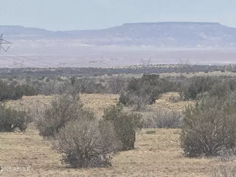 lot205 Chevlon Canyon Rnch #205, Heber, AZ 85928