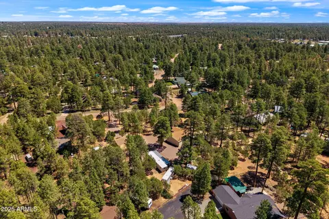 2884 Pine Rim Rd, Overgaard, AZ 85933 photo 80