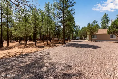 2884 Pine Rim Rd, Overgaard, AZ 85933 photo 40
