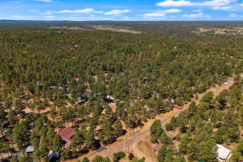 2884 Pine Rim Rd, Overgaard, AZ 85933 photo 77